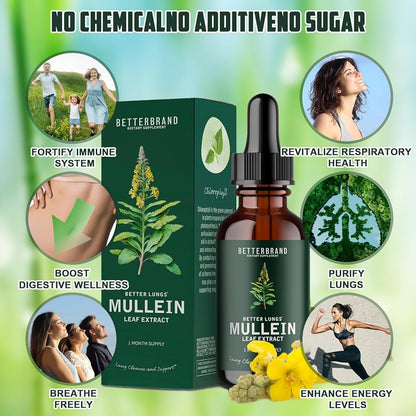 EXTRACTO DE MULLEINN™ ⭐⭐⭐⭐⭐ ELIMINA LA FLEMA DE TUS PULMONES